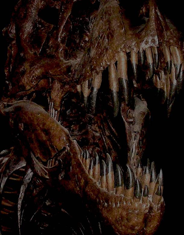 T-rex